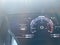 2024 Toyota Sequoia TRD Pro