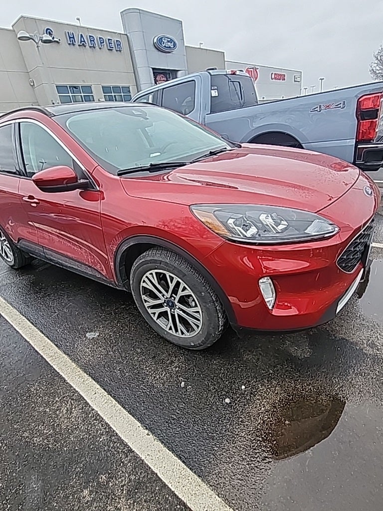 2022 Ford Escape SEL